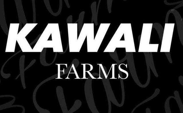 officialkawalicarts.com